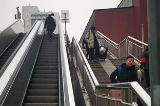 新浪河南